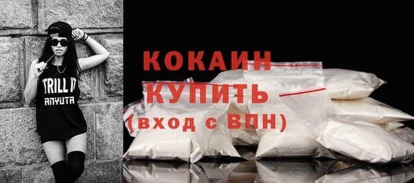 ПСИЛОЦИБИНОВЫЕ ГРИБЫ Няндома