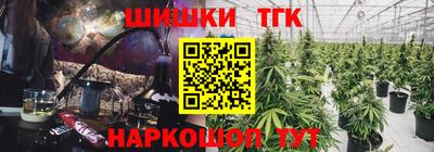 индика Изобильный