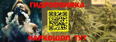 индика Изобильный