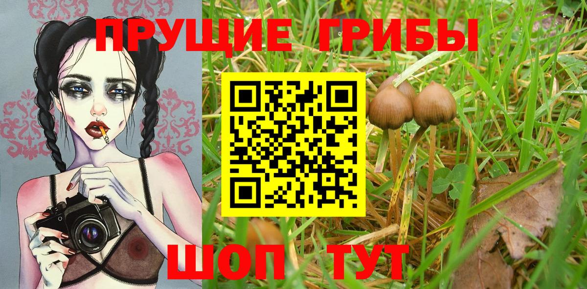 Псилоцибиновые грибы Magic Shrooms  цена наркотик  Серов  Вход с VPN 