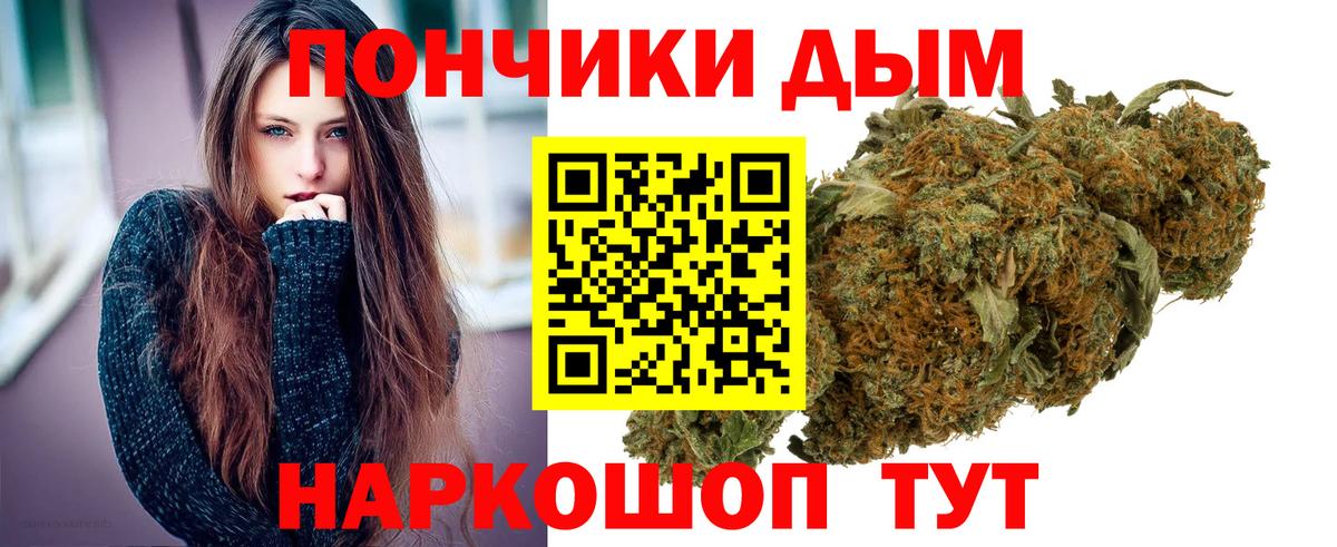 Каннабис семена  Бошки Шишки марихуана  Серов  Канабис SATIVA & INDICA  Конопля AK-47 